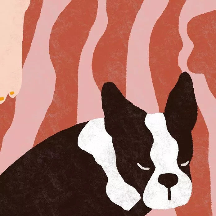 Affiche Dog summer